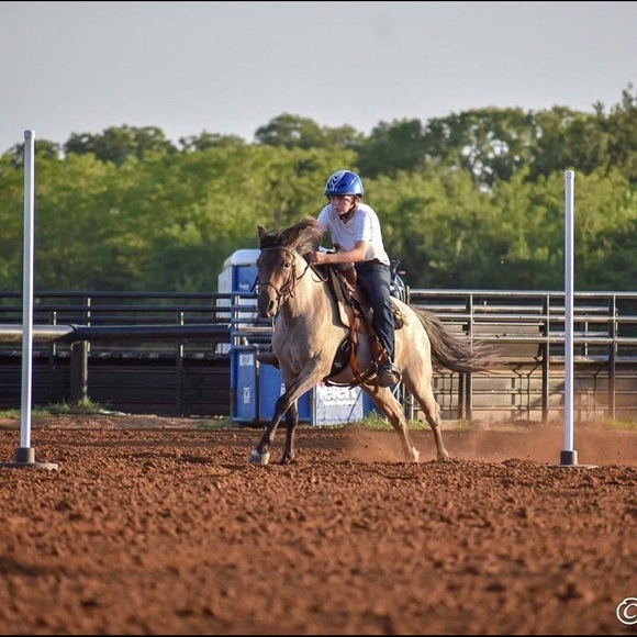 Meet your Posher, Breyer - Picture 3 of 10